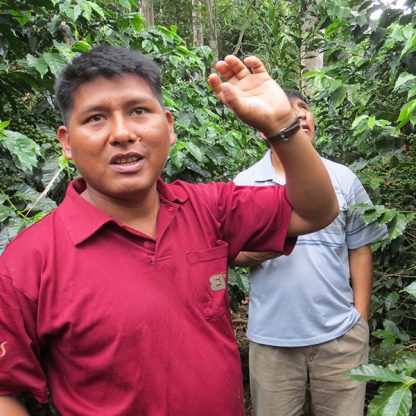 Coffee Producer in Bolivia standing in the coffee farm explaining something
