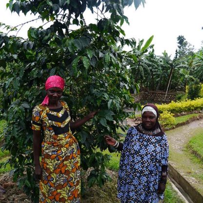 Two female coffee producers in Rwanda standing in front of an arabica coffee tree