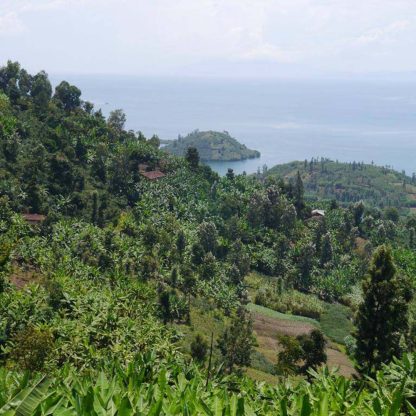 A view of the mountainous Rwandan landscape with lush farms near the water