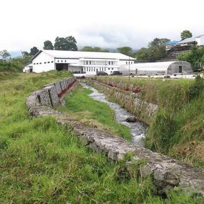Coffee processing facility in Gayo Mountain surround by tropical forest