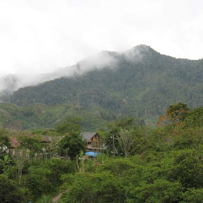 The lush, mountainous Sumatra Gayo Mountain landscape