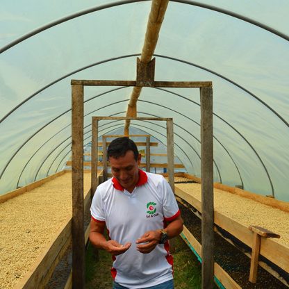 Coffee drying on raised beds under a tent in Peru