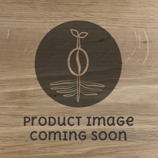 Brazil, Paubrazil - Medium Roast