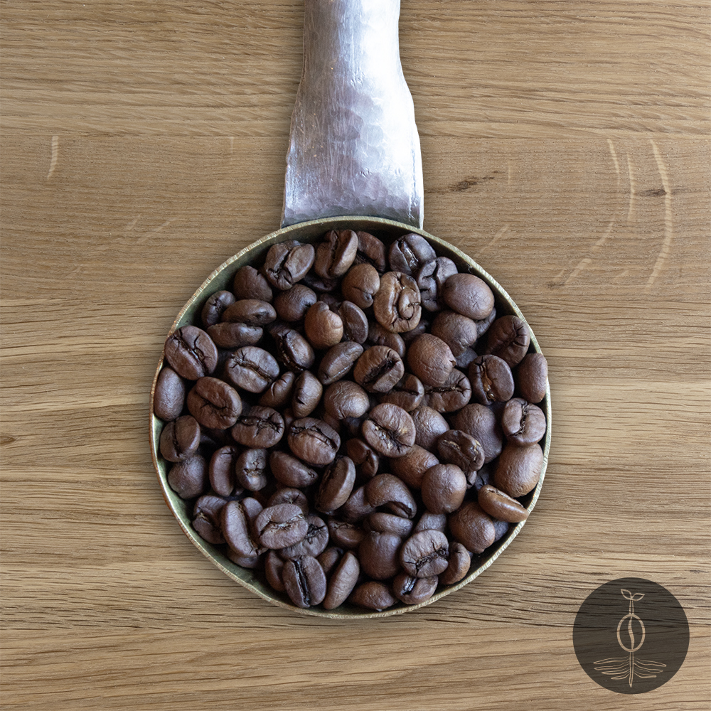 Close-up shot of Brazil Paubrazil medium roasted coffee beans in a handmade scoop with a wooden cutting board background.