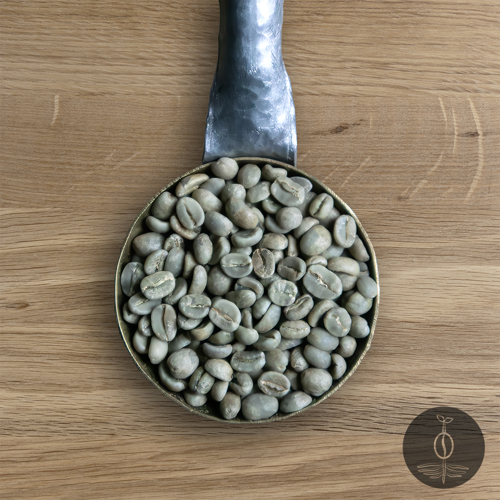 Close-up shot of Congo Kivu green (raw) coffee beans in a handmade scoop with a wooden cutting board background.