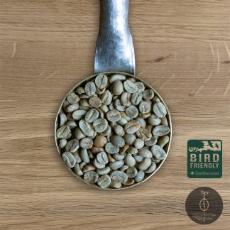 Close-up shot of Honduras Marcala Bird Friendly green (raw) coffee beans in a handmade scoop with a wooden cutting board background.