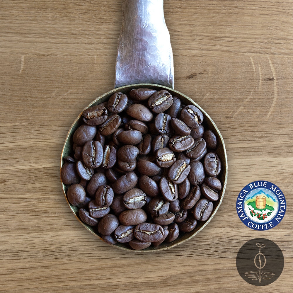 Close-up shot of Jamaica Blue Mountain Clydesdale Estate Grade light-medium roasted coffee beans in a handmade scoop with a wooden cutting board background.