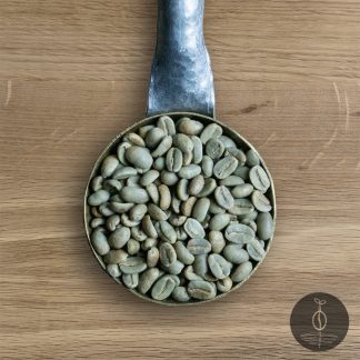 Close-up shot of Papua New Guinea Korgua Estate AA green (raw) coffee beans in a handmade scoop with a wooden cutting board background.