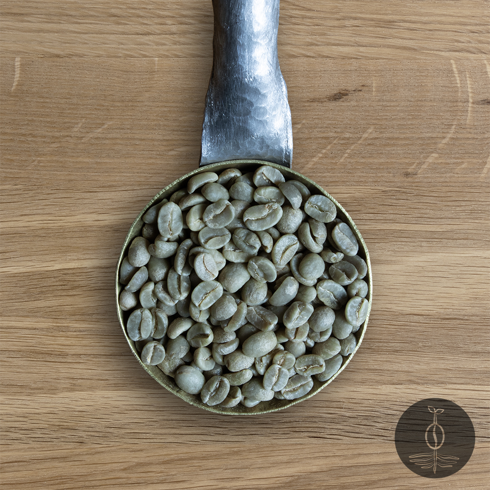 Close-up shot of Rwanda Kigayo green (raw) coffee beans in a handmade scoop with a wooden cutting board background.