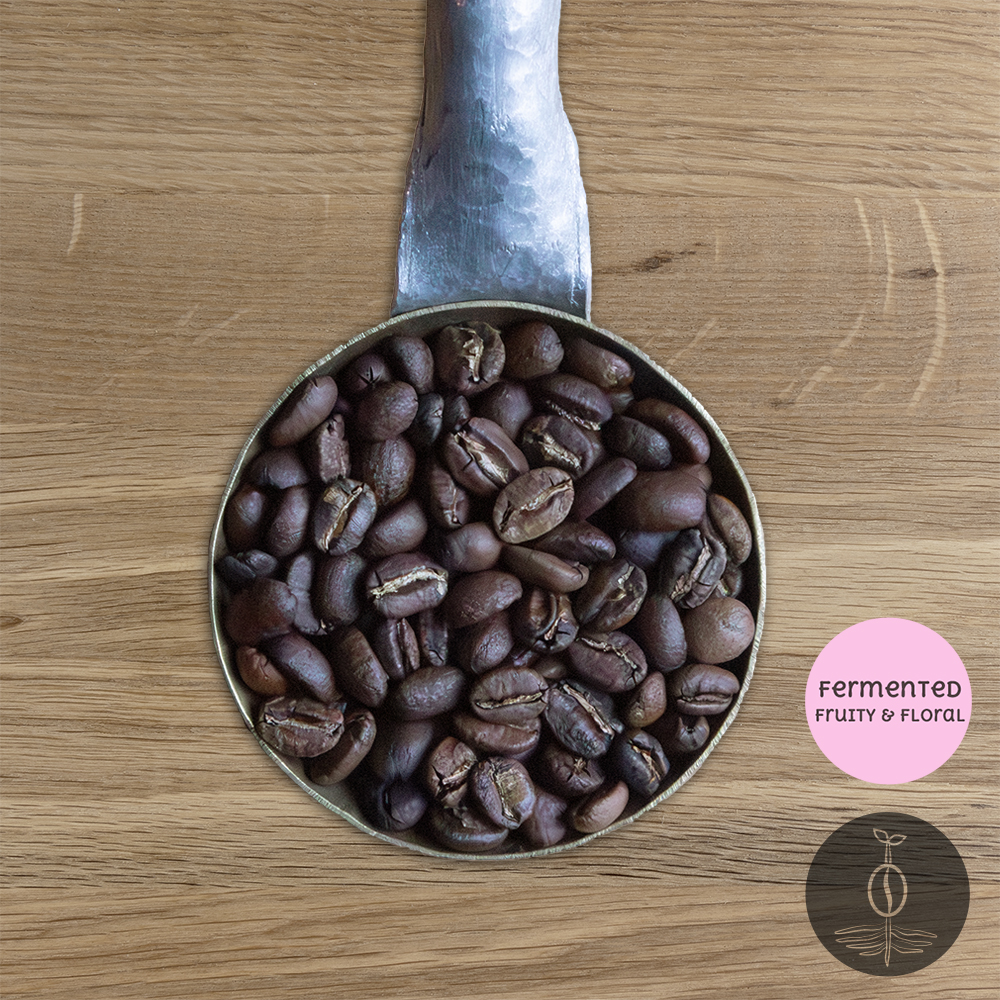 Close-up shot of Colombia Huila Geisha, La Villa light-medium roasted coffee beans in a handmade scoop with a wooden cutting board background.